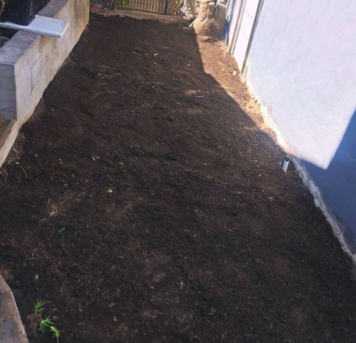 Site 2 Before