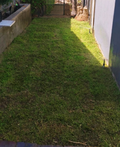Site 2 After